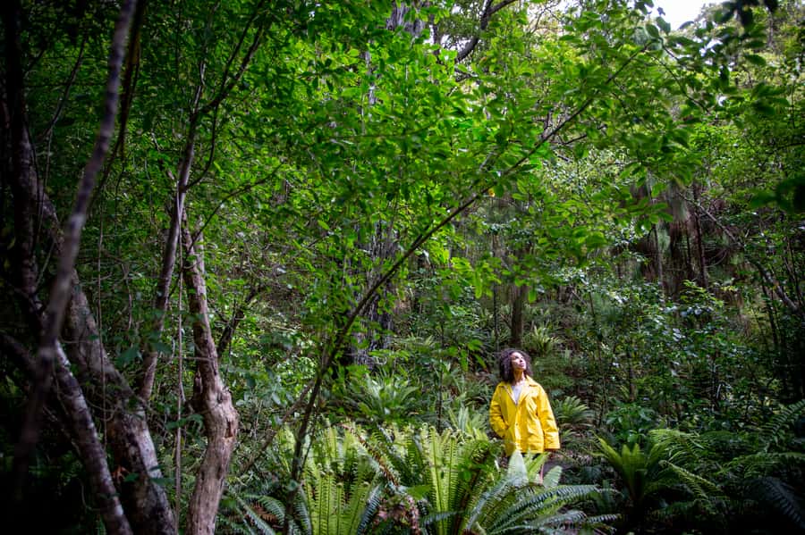 Stewart Island: Ulva Island Guided Wilderness Walk & Cruise - How the 150 minutes feel in practice