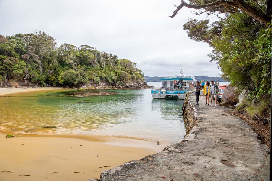 Stewart Island: Ulva Island Guided Wilderness Walk & Cruise - Who will enjoy this Stewart Island outing?
