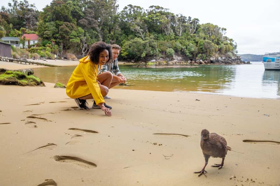 Stewart Island: Ulva Island Guided Wilderness Walk & Cruise - Paterson Inlet’s coves, beaches, and local stories