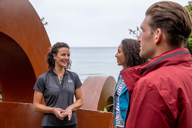 Stewart Island: Village and Bays Tour - Why this is a smart first look at Stewart Island