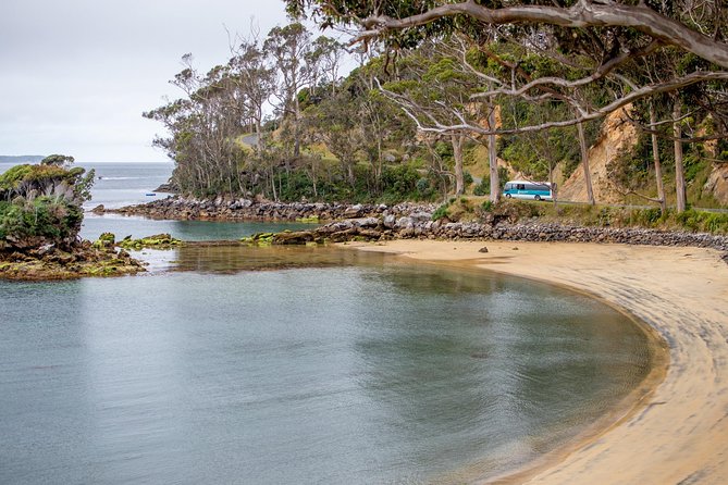 Stewart Island: Village and Bays Tour - Halfmoon Bay and Horseshoe Bay