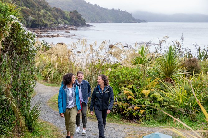 Stewart Island: Village and Bays Tour - Lee Bay and the Rakiura National Park entrance