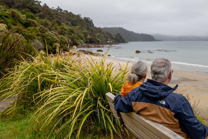 Stewart Island: Village and Bays Tour - Observation Rock and the Paterson Inlet view