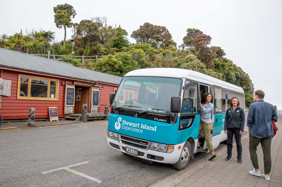 Stewart Island: Village and Bays Tour - Who should book this tour?