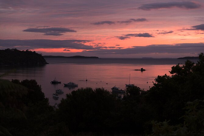 Stewart Island: Wild Kiwi Experiences - How the kiwi encounter works