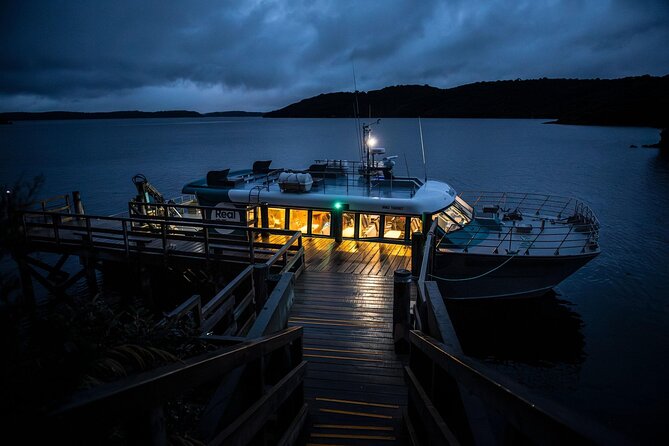 Stewart Island: Wild Kiwi Experiences - Guides, group size, and the overall pace