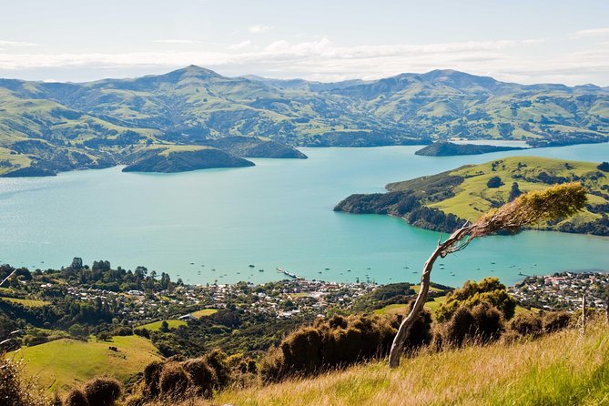 Sunrise wildlife sea kayaking in Akaroa marine reserve - What the $96.19 price really covers