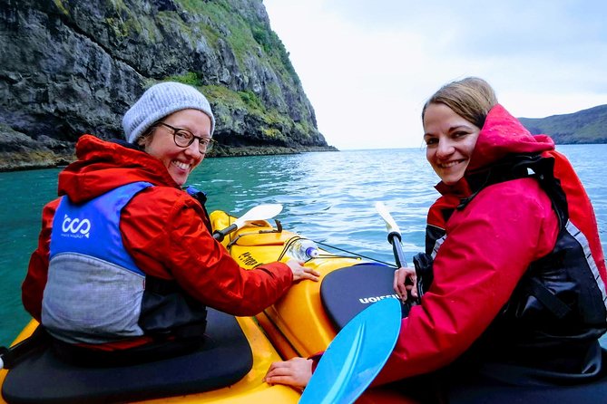 Sunrise wildlife sea kayaking in Akaroa marine reserve - Getting comfortable in the kayak