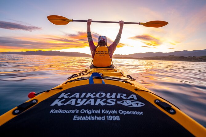 Sunset Evening Kayaking Tour - Kaikoura - Key points to know before booking