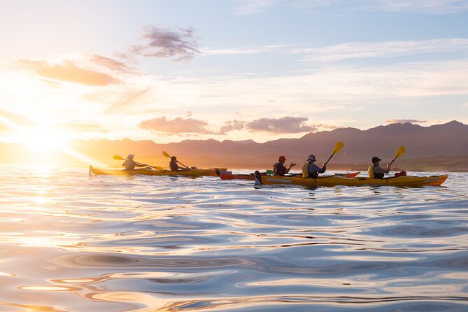 Sunset Evening Kayaking Tour - Kaikoura - Paddling beside the Kaikoura Peninsula Walkway