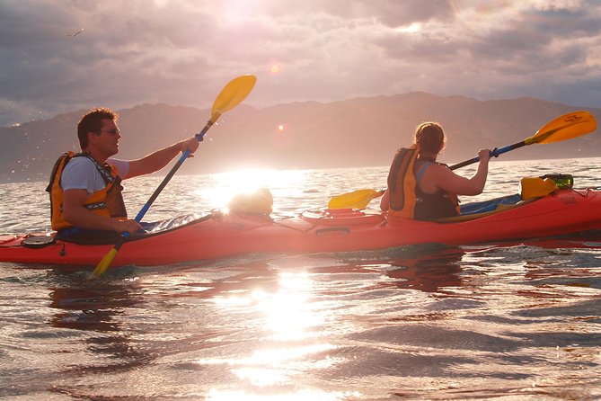 Sunset Evening Kayaking Tour - Kaikoura - The possible bonus: Dusky Dolphins