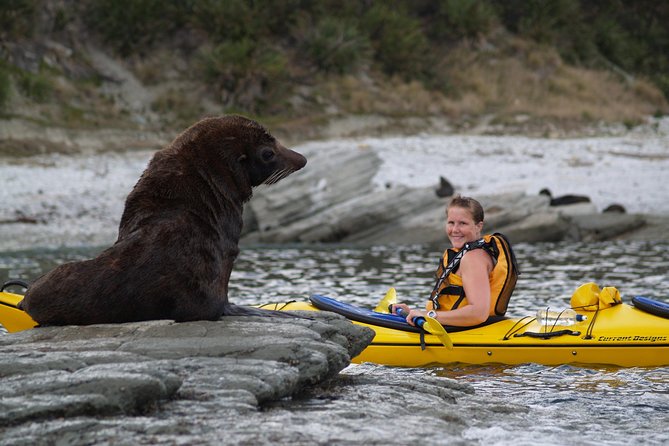 Sunset Evening Kayaking Tour - Kaikoura - What to wear for a dry, comfortable paddle