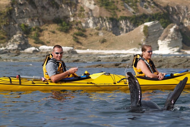 Sunset Evening Kayaking Tour - Kaikoura - Who will get the most from the $99.29 price