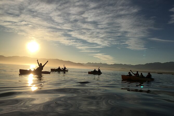Sunset Kayak tour in Kaikoura - Who Will Enjoy This Most