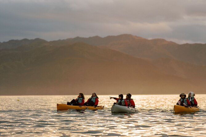 Sunset Kayak tour in Kaikoura - Should You Book the Kaikōura Sunset Kayak?