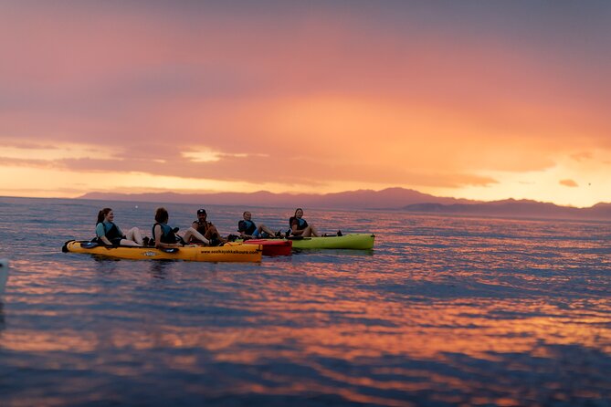 Sunset Kayak tour in Kaikoura - Seals First, Then the Other Marine Life