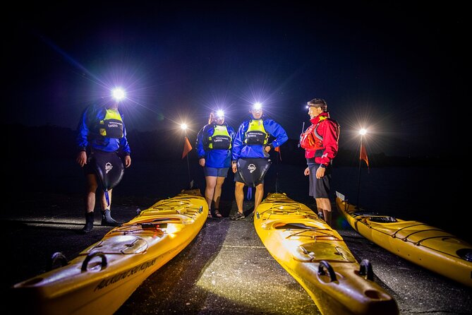 Sunset kayak tour to Rangitoto Island - Who Should Book This Evening Adventure