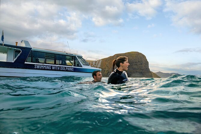 Swimming with Wild Dolphins in Akaroa - Key points to know before booking