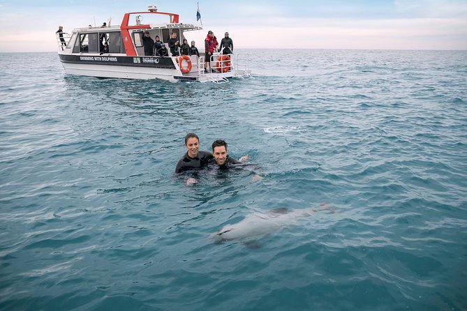 Swimming with Wild Dolphins in Akaroa - Meeting Hector’s dolphins at Akaroa Harbour