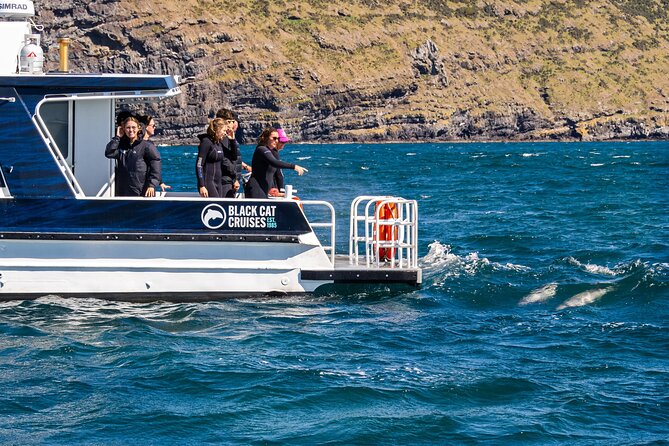 Swimming with Wild Dolphins in Akaroa - The shore facilities and what is included