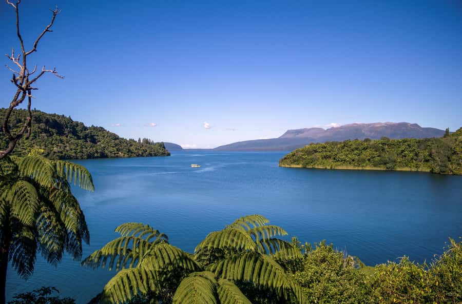 Tarawera and Lakes 2-Hour Duck Eco Tour - Lake Tarawera and the volcanic domes