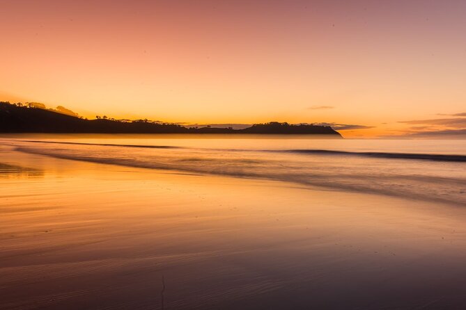 Taste of Waiheke Food and Wine Tour - What the $179.97 price really covers