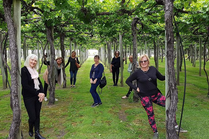Taste the Valley Wine Tour in Marlborough with Wine Tasting - Lunch, timing, and the tradeoff at the middle of the day