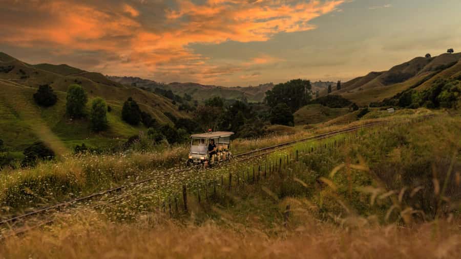 Taumarunui: Forgotten World Rail Cart Tour with Lunch - Key points to know before you book