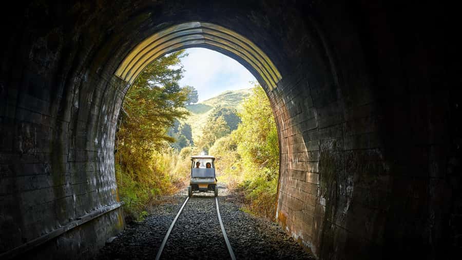 Taumarunui: Forgotten World Rail Cart Tour with Lunch - Why a rail cart is the right way to see the Forgotten World Railway
