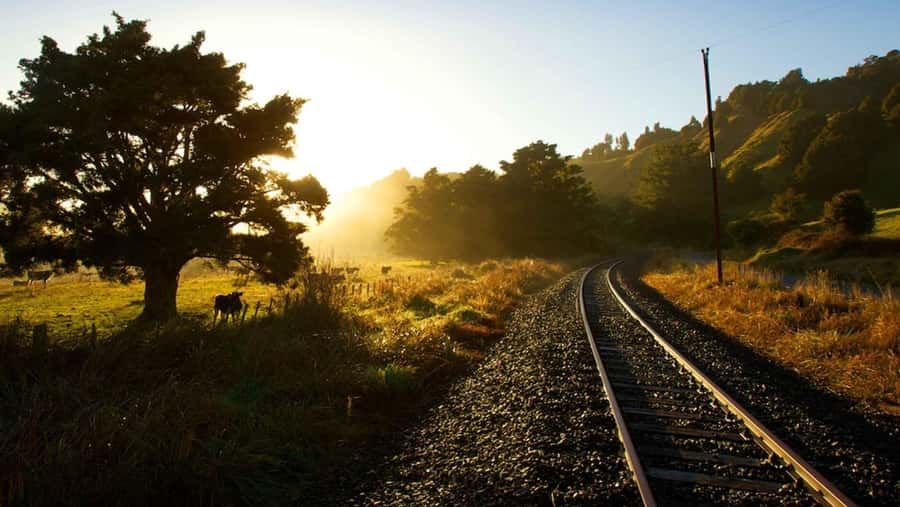 Taumarunui: Forgotten World Rail Cart Tour with Lunch - Through 10 tunnels, including the 1.5-kilometer tunnel