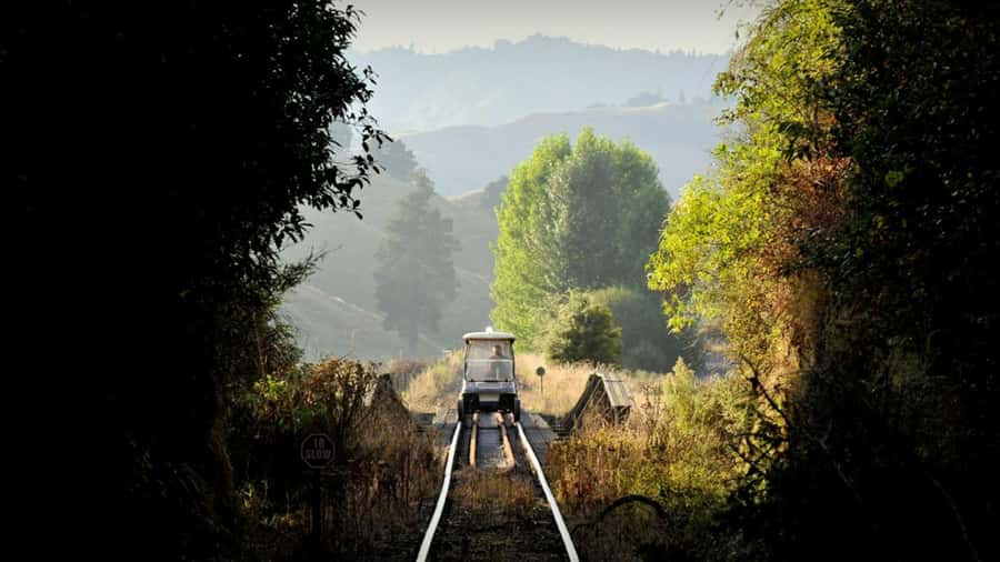 Taumarunui: Railcart and Jetboat Adventure with lunch - Key points at a glance