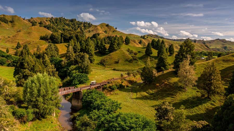 Taumarunui: Railcart and Jetboat Adventure with lunch - Why this combination works so well