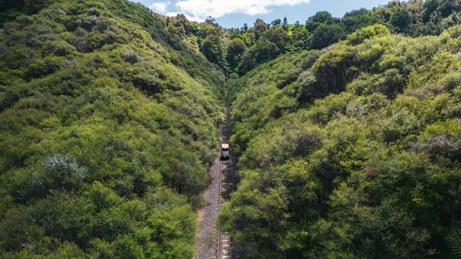 Taumarunui: Railcart and Jetboat Adventure with lunch - Rail carts through the Forgotten World