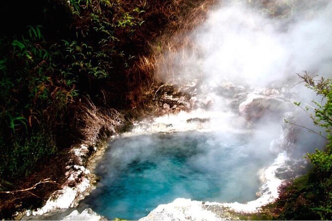 Taupo Day Trip with Orakei Korako or Waiotapu from Rotorua - Key points at a glance