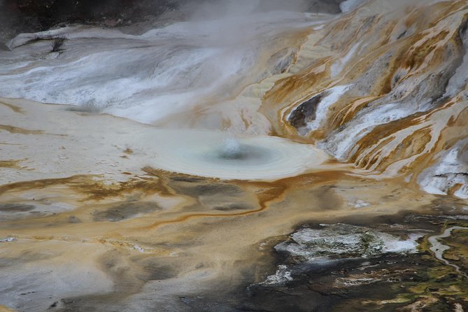 Taupo Day Trip with Orakei Korako or Waiotapu from Rotorua - Choosing Wai-O-Tapu for color and spectacle