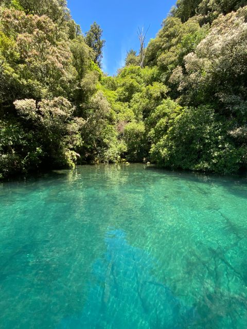 Taupo: Lake Taupo Western Bays Catamaran Tour with Bush Walk - What to wear and bring