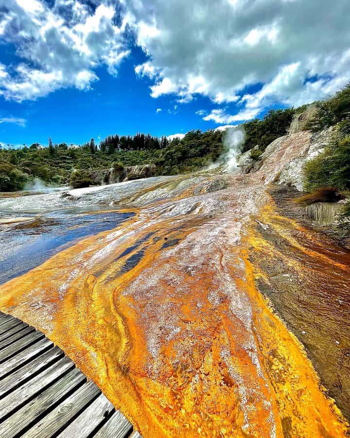 Taupo: Orakei Korako Geothermal Park and Cave Entry Ticket - Who will enjoy this park most?