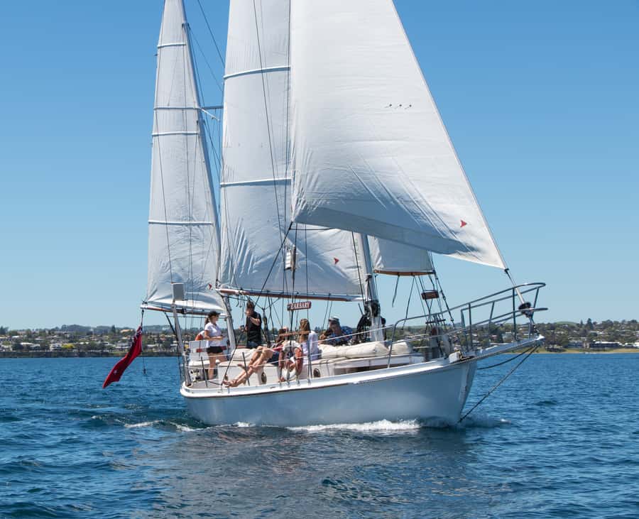 Taupō: Sail Barbary Eco Sailing to the Maori Rock Carvings - Weather can change the boat and the mood