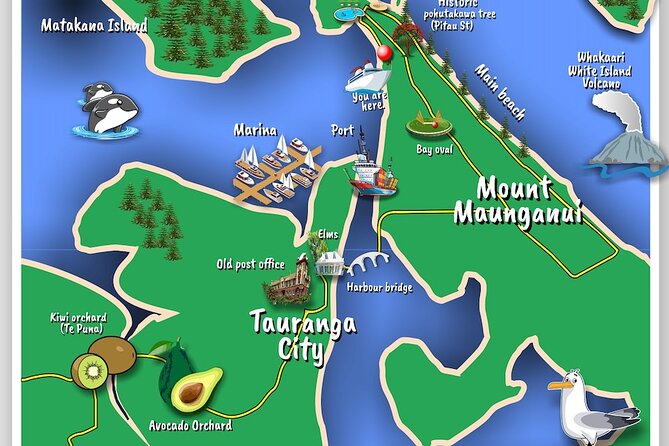 TAURANGA City & Scenic Sightseeing 2-hour Local Bus Tour - At a glance: what makes this Tauranga tour useful