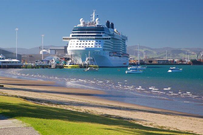 TAURANGA City & Scenic Sightseeing 2-hour Local Bus Tour - Orchards, kiwifruit, and the Bay of Plenty countryside