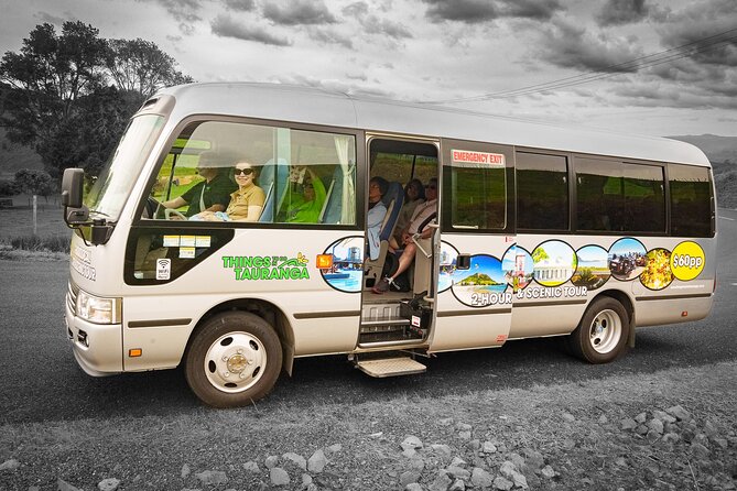 TAURANGA City & Scenic Sightseeing 2-hour Local Bus Tour - Mount Maunganui begins with beach and town life