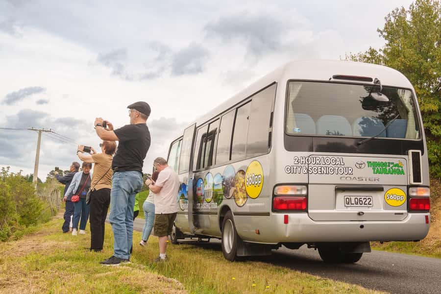 Tauranga City & Scenic Sightseeing 2-hour Local Tour - Why this two-hour tour works well from a cruise ship