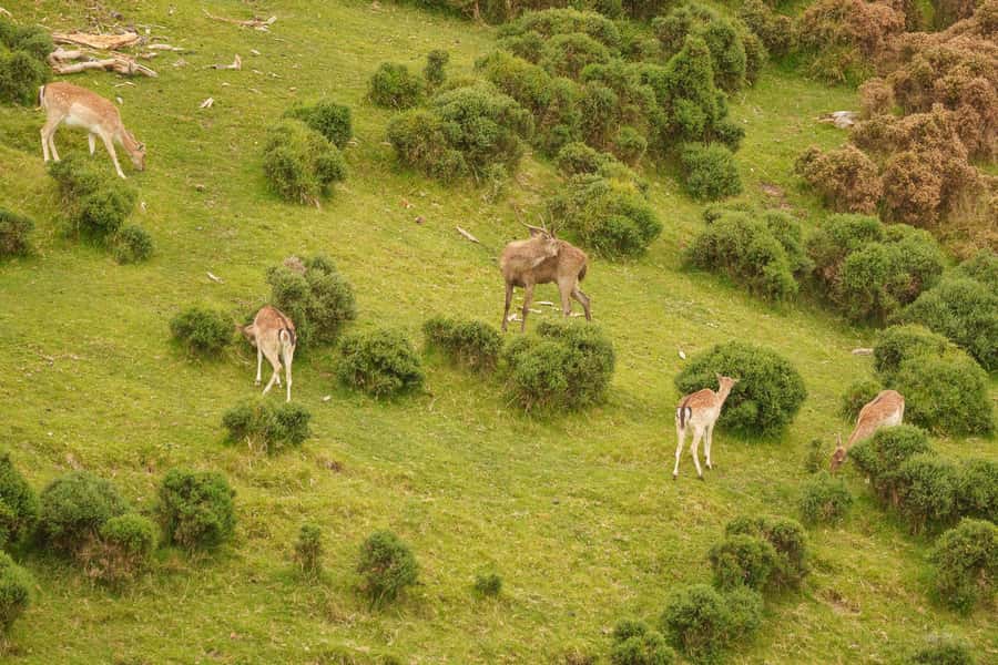 Tauranga City & Scenic Sightseeing 2-hour Local Tour - Kiwi and avocado orchards beyond the city