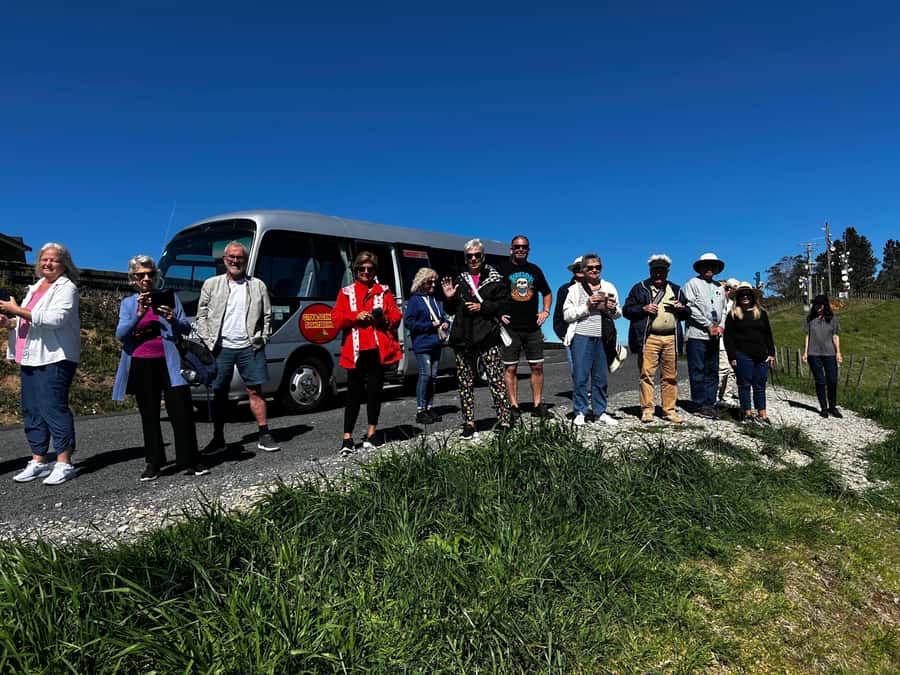 Tauranga City & Scenic Sightseeing 2-hour Local Tour - Vehicle size, comfort, and pace