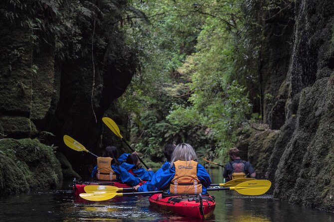 Tauranga Daytime Scenic Lake McLaren Tour - A quiet start at Waimarino Water & Adventure Park