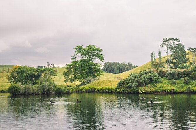 Tauranga Daytime Scenic Lake McLaren Tour - Guides make the calm scenery more interesting