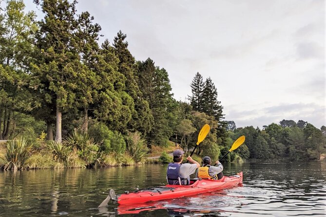 Tauranga Daytime Scenic Lake McLaren Tour - Wildlife and the value of a slow view