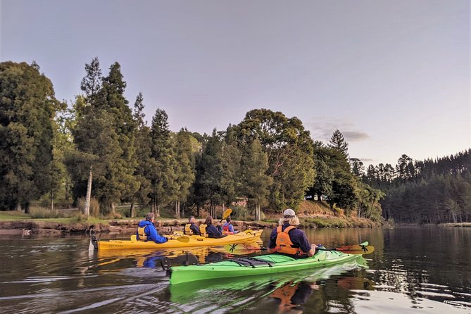 Tauranga: Evening Glowworm Kayak Tour - From Waimarino Adventure Park to Lake McLaren