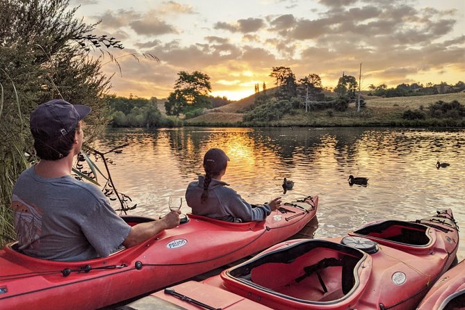 Tauranga: Evening Glowworm Kayak Tour - Is €136.05 a fair price?