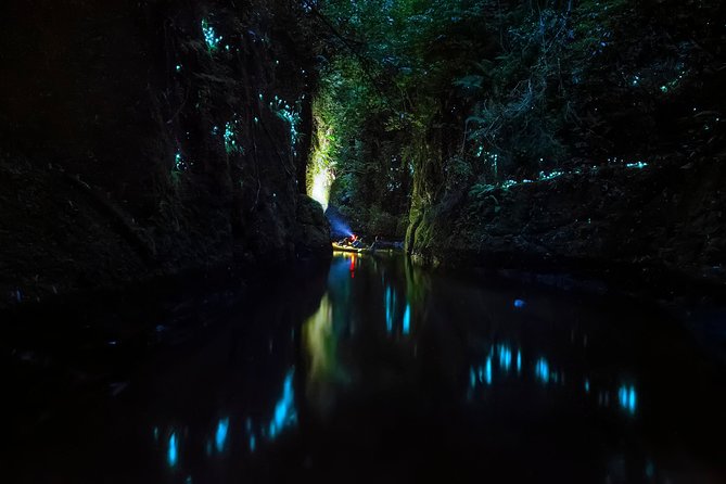 Tauranga: Evening Glowworm Kayak Tour - Who will enjoy this Tauranga evening?